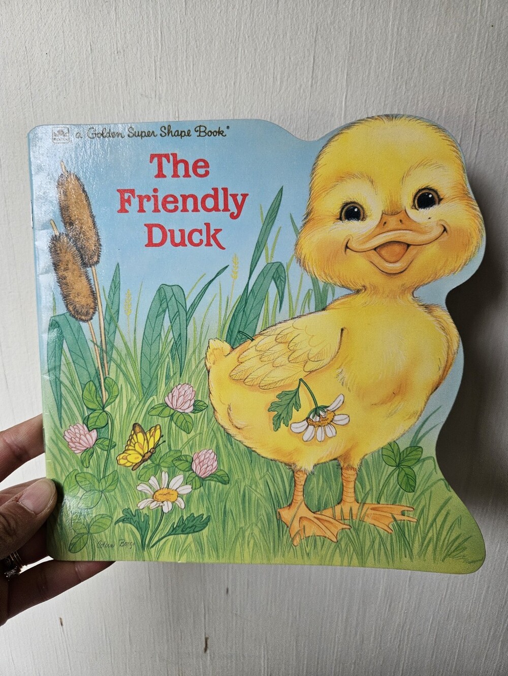 🧡3/$15 1989 The Friendly Duck Book